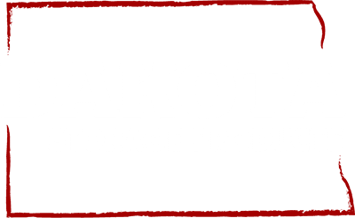 Dakota Storage Products logo